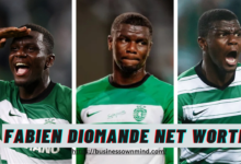 fabien diomande net worth