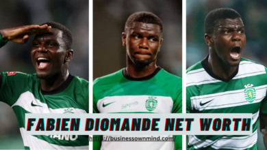 fabien diomande net worth